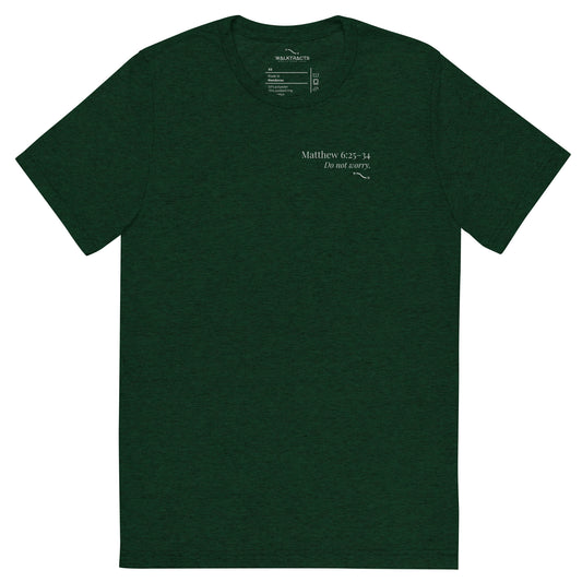 Green Christian t-shirt featuring Bible verse Matthew 6:25–34